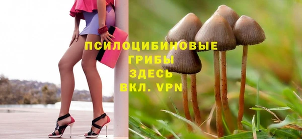 mdpv Бугульма