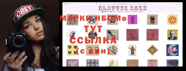 стаф Бородино