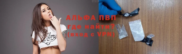 стаф Бородино