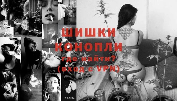 стаф Бородино