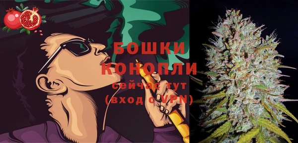 стаф Бородино
