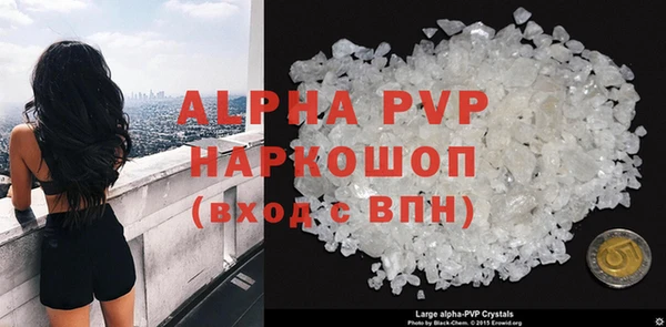 стаф Бородино