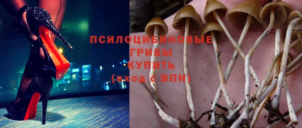 mdpv Бугульма