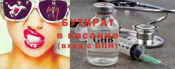 стаф Бородино